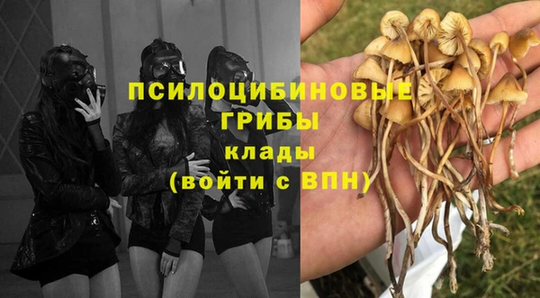 ALPHA-PVP Алексин