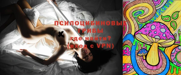 хмурый Алексеевка
