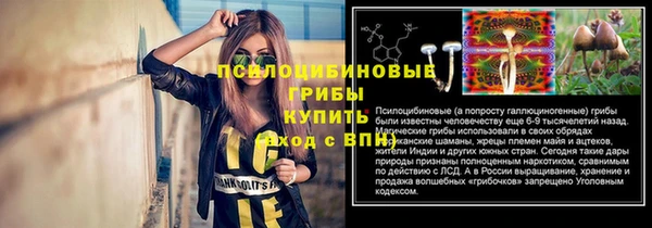 хмурый Алексеевка
